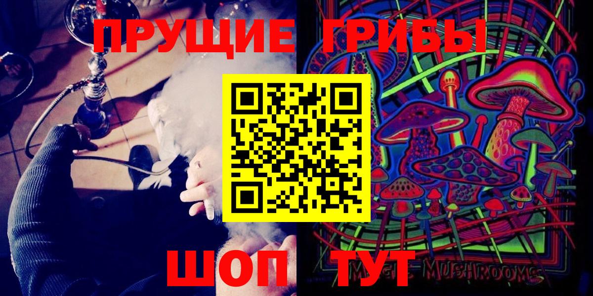 Псилоцибиновые грибы Psilocybine cubensis Семёнов